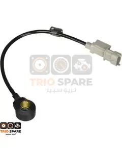 Sensor Assy-Knock Hyundai Elantra 2017 - 2018