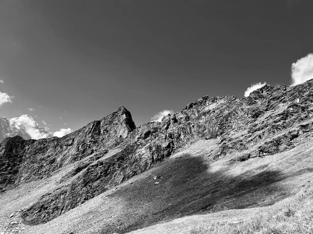 IMG_8492.jpeg