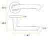 Zoo Hardware ZPA020-SC Santiago Door Handle on Rose Satin Chrome

