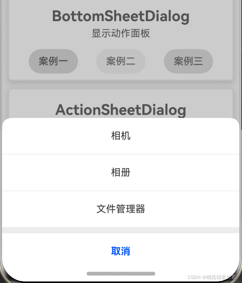 BottomSheetDialog