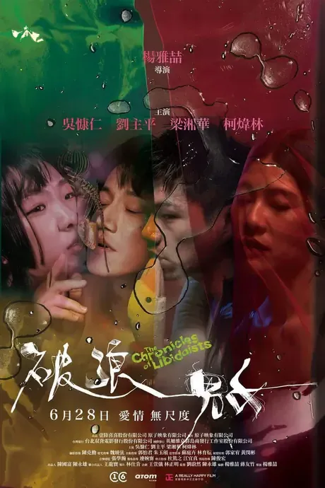 2024《破浪男女》1080P高清资源网盘下载-800资源网